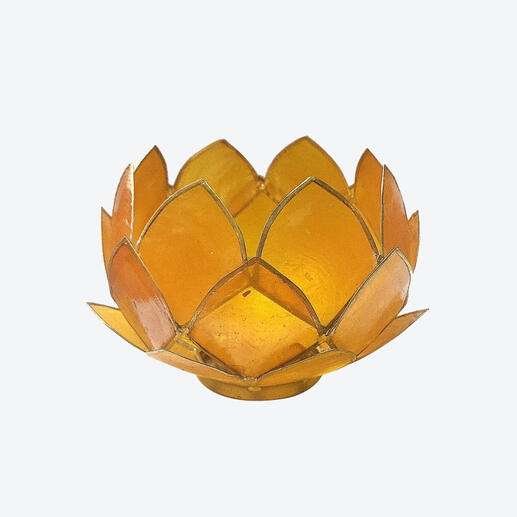 Capiz candle holder cabbage design 3x6 inches – handcrafted Filipino home décor made from natural capiz shells.